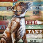 hund (1)