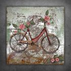 cykel 2 12