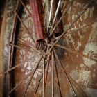 cykel 2 5