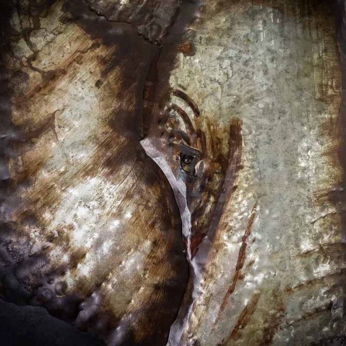 elefant 1 7 elefant 1 7