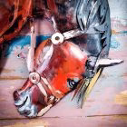 rodeo 6